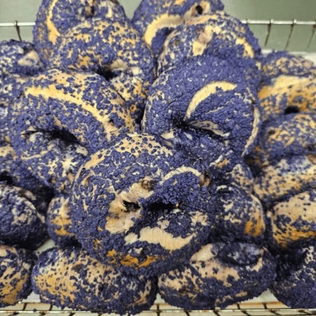 Specialty Bagels.