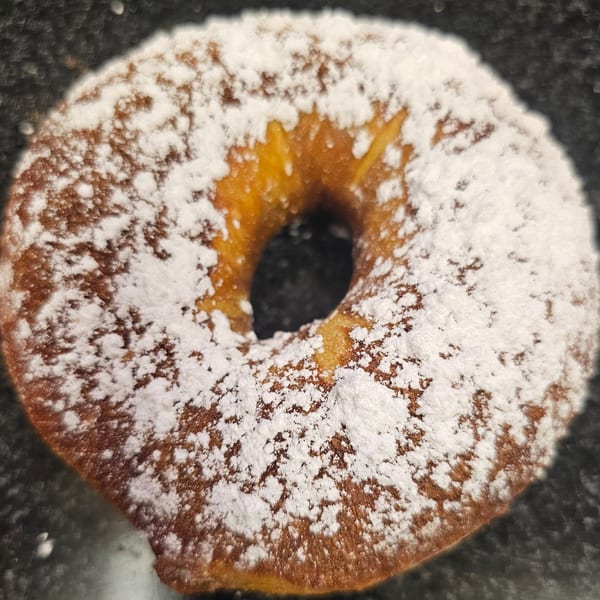 Close-up of a golden-brown bagel generously dusted with white powdered sugar.