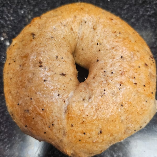 A close-up of a freshly baked bagel from Bagels N' Cream, speckled with poppy seeds.