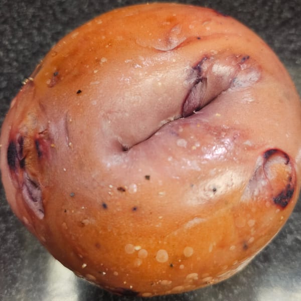 A close-up of a golden-brown bagel from Bagels N' Cream, showing its textured surface.
