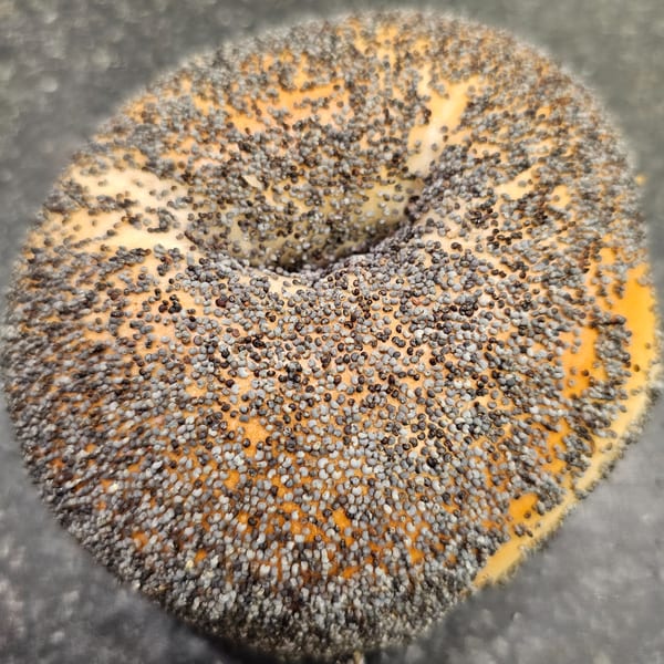 A close-up, overhead view of a poppy seed bagel from Bagels N' Cream.